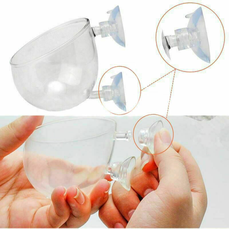 Mini Crystal Glas Waterplanten Fokken Landschap Cup wandmontage met Zuignap Thuis Aquarium Decoratie Zaailing Cup