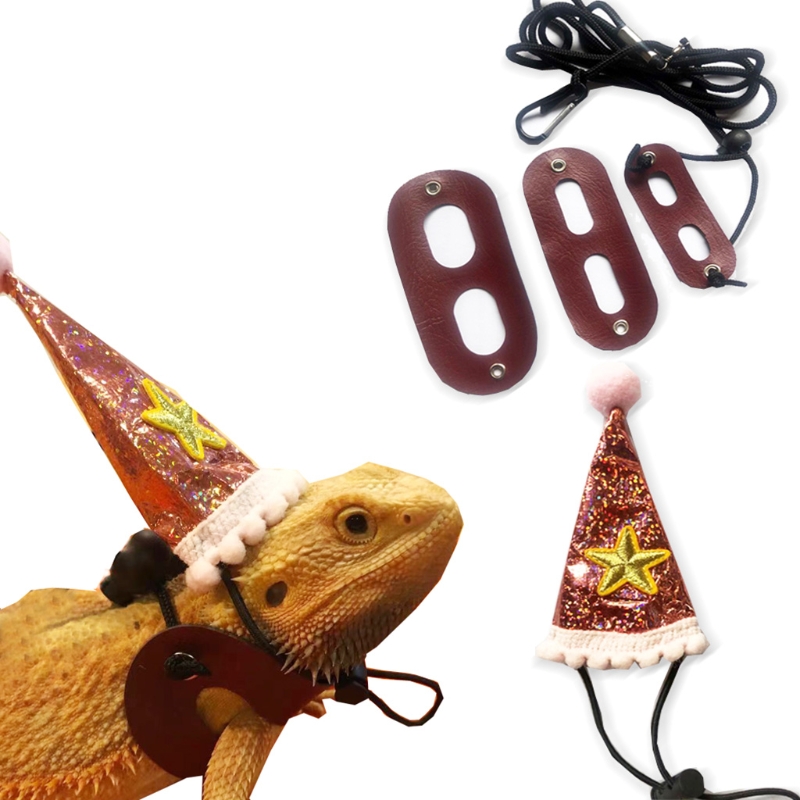 Baardagaam Verjaardag Hoed Leash En Harnas Van Baby Tot Juveniele Verstelbare Lederen Hagedis Walking Leash Sml 3 pack Y5GB