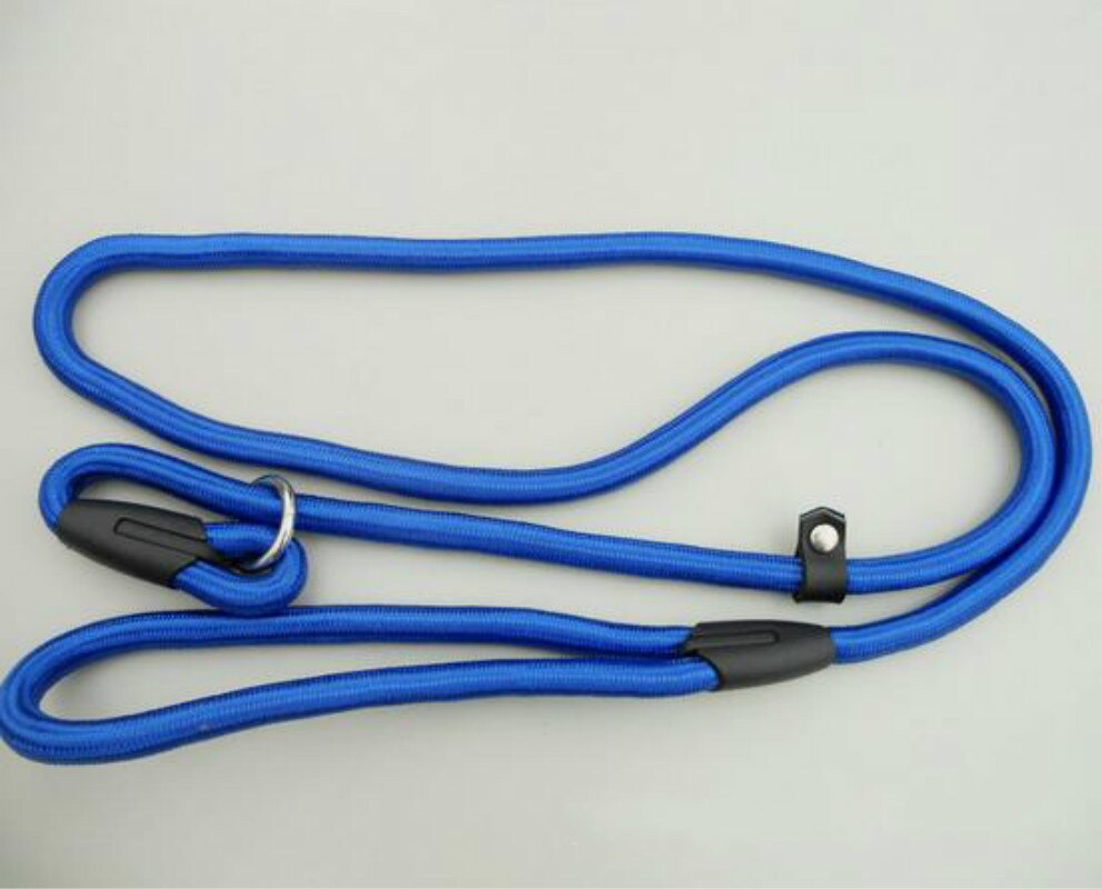 Nylon Dog Training Leash Dogs P Chain Slip Collar Walking Leads Rope For Small Medium Breeds Chihuahua Teddy: Blue / 0.6X130CM