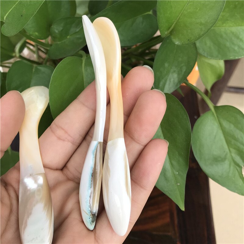 2Pcs Natuurlijke Schelp Mossel Koffie Lepel Rivier Masker Kruiden Lepel Scoop Van Caviar Creatieve Conch Kenmerken