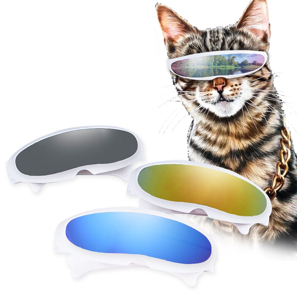 Gafas de sol con forma de ojo de gato, accesorios para mascotas, lentes de sol con personalidad, accesorios para fotos de mascotas