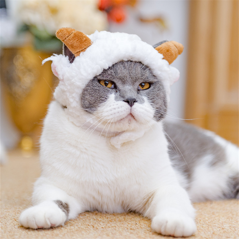Chapeau d'animal mignon pour chiens, casquette de Costume en velours , accessoires pour chat moyen, bouledogue français, animal de compagnie, respirant, couvre-chef de noël pour chiot: XS / vert clair