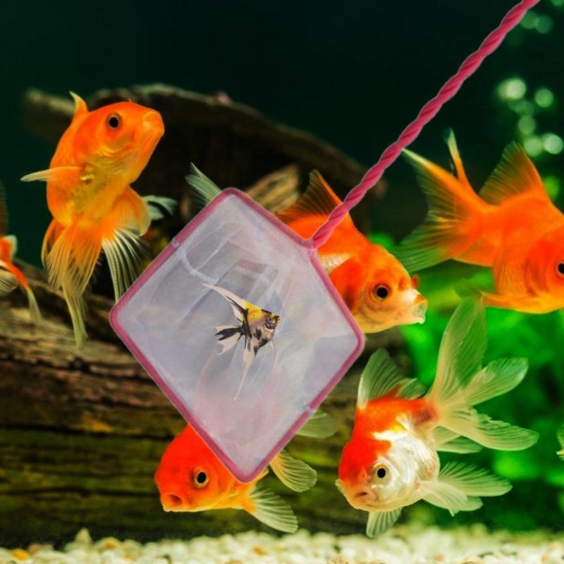 Nuttig Draagbare Lange Handvat Vierkante Aquarium Aquarium Visnet Schepnet Voor Diverse Soorten Vis Springende Accessoires