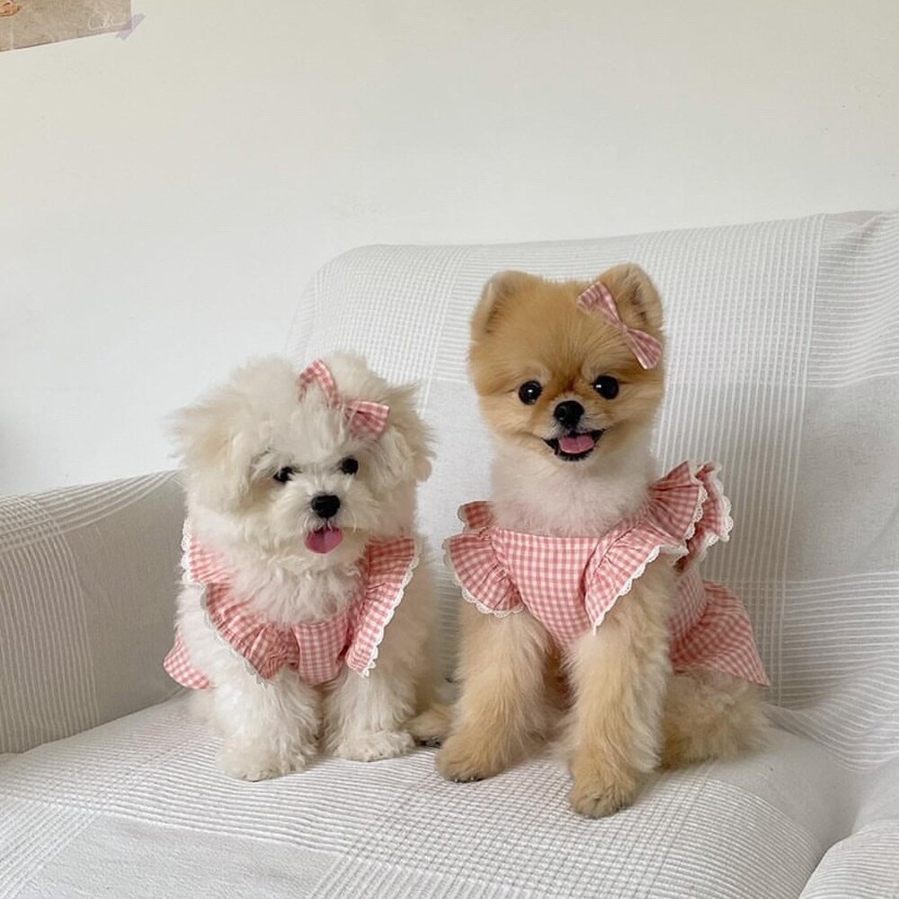GULULU Sommer Hund Kleid Plaid Spitze Welpen Kleidung für Kleine Hunde Mädchen Rosa Felsen Katze Outfit Haustier Zubehör vestido perro 2022