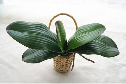 1pcs Real touch phalaenopsis leaf artificial plant leaf decorative flowers auxiliary material flower decoration: L