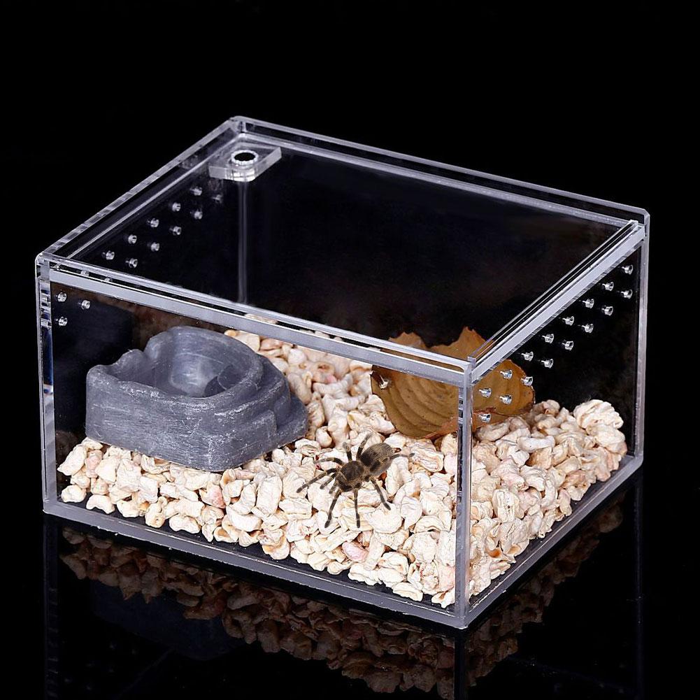 tanque para reptiles insectos arañas tortuga lagarto acrílico transparente caja de cría Vivarium tapa reptil mascota producto terrario