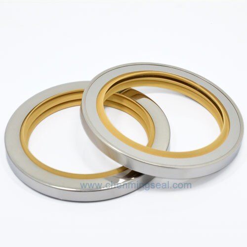 20*40*10 mm Separate Media Lip PTFE Oil Seals Rotary Shaft Seals With Dual Lip Stainless Steel Housing For Compressors Mixers