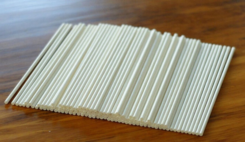10 Stuks Pop Sucker Sticks Chocolate Cake Lolly Lolly Snoep Maken Mould Wit