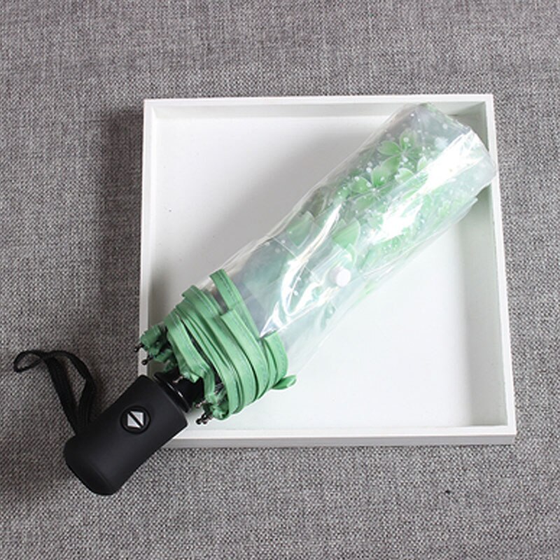 Japanese Cherry Blossom Transparent Umbrella Plastic Girl Female Cute Flower Rain Umbrellas 3 Folding Women Clear Umbrella Small: Automatic Green
