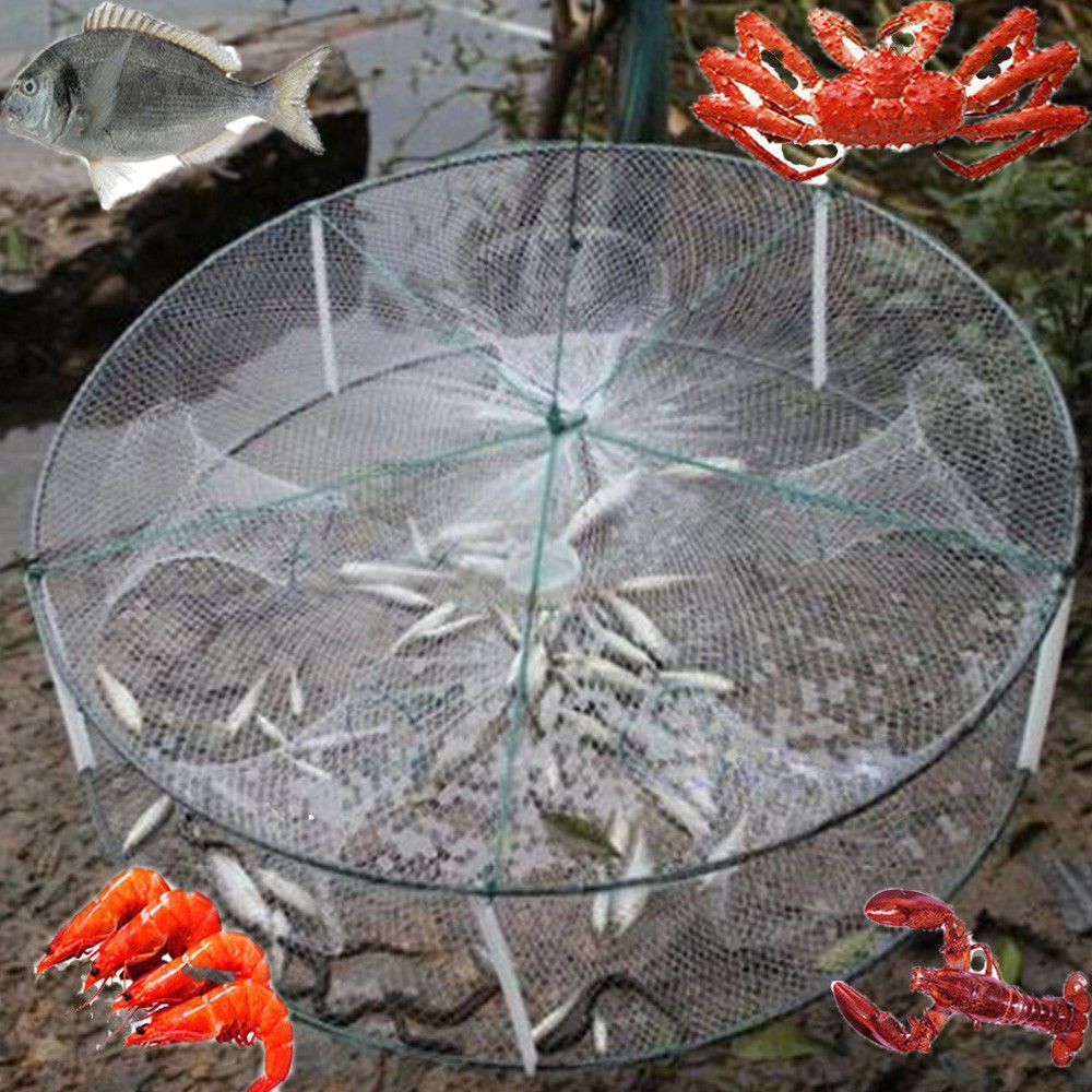 Señuelo de pesca de red de pesca de fundición, jaula de cangrejo, Red de Camarón, trampa de red de Camarón, jaula de inmersión fundida, cebo de pesca, piscardo, pez de malla