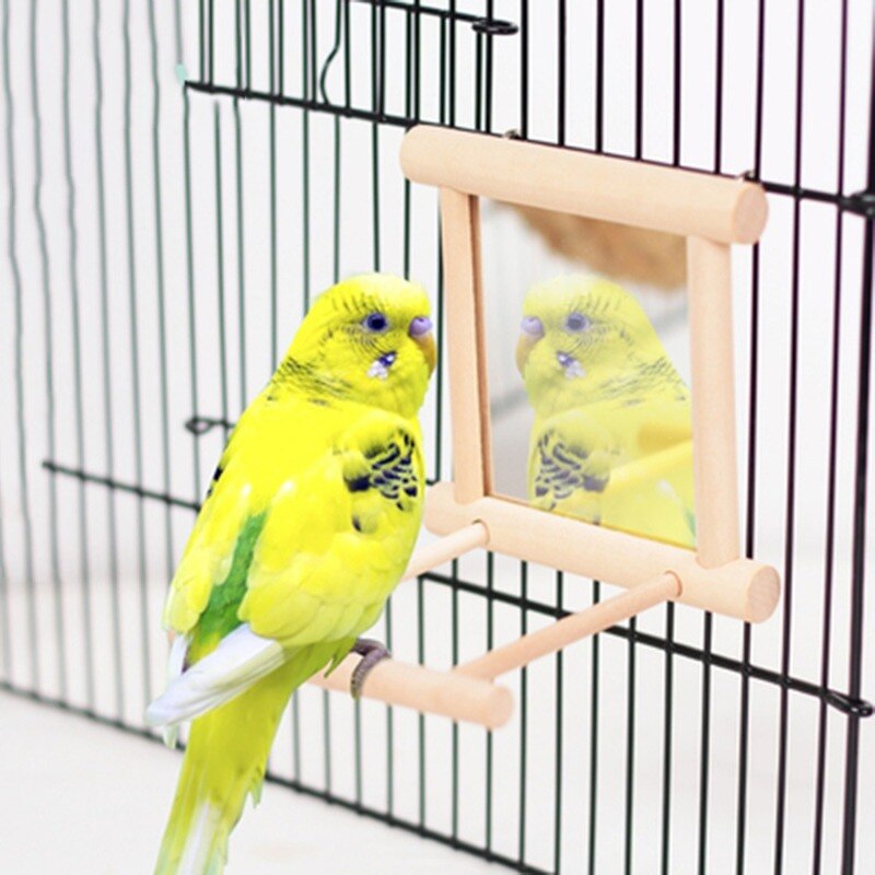 Miroir d&#39;oiseau avec perche, support de jouet de perche d&#39;oiseau, jouet d&#39;oiseau pour Cage de perruches de perroquet