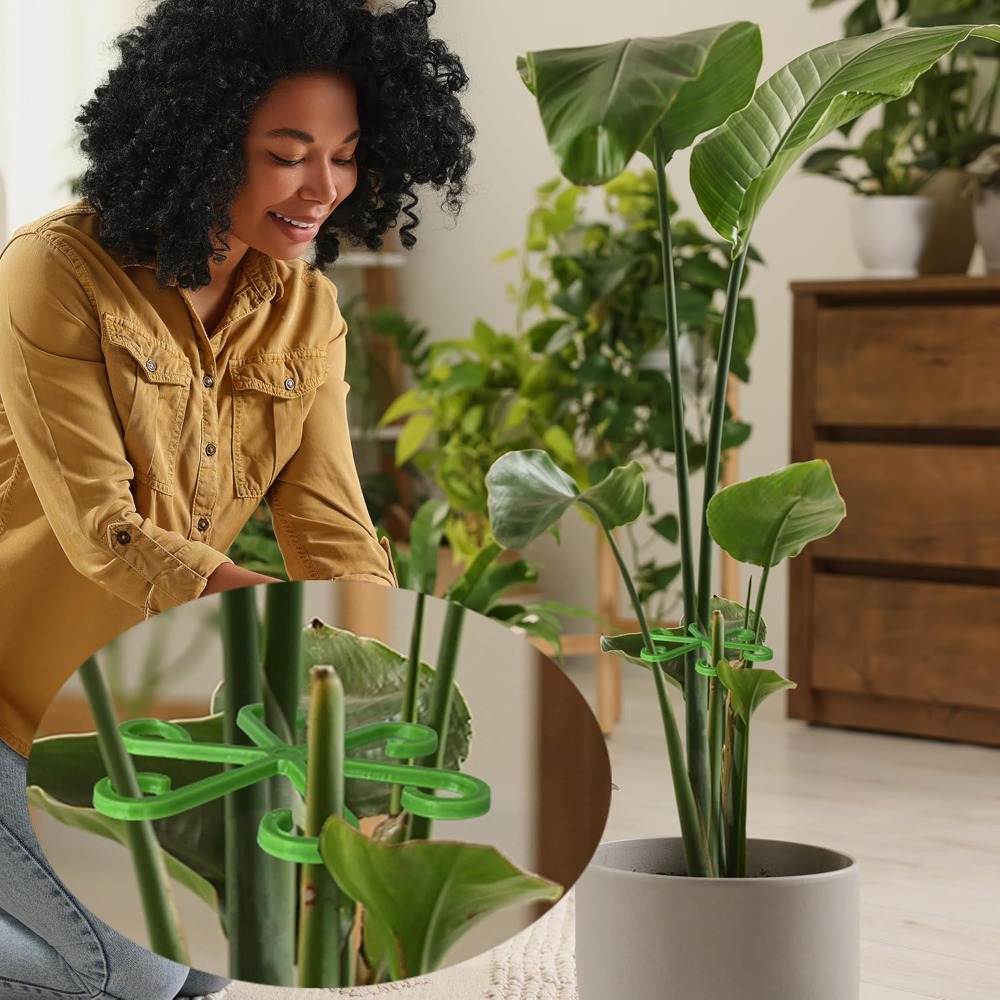 Estacas de soporte para tallo de planta de flores, marco de soporte para planta de interior trepadora, enrejado de estaca para jardín de plástico, soporte para plantas de interior, aros