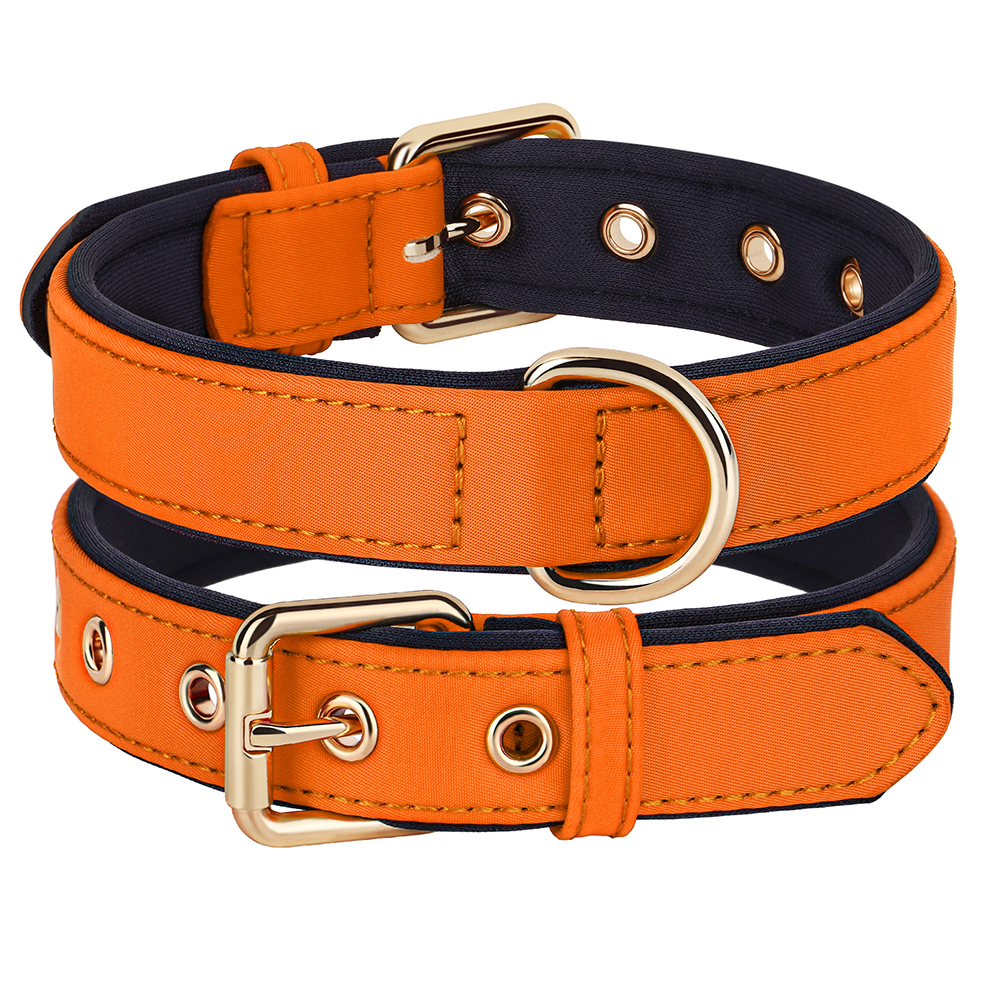 Collier en nylon imperméable pour chien, 8 couleurs, doux, rembourré, respirant, colliers pour animaux de compagnie, petits et moyens chiens, Chihahua, PDPDog, accessoires: M / Orange
