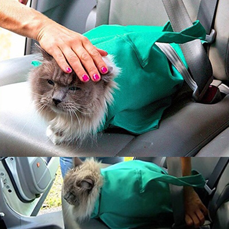 Pet Carrier Handtas Head Outt, Gewatteerde Kleine Pet Sling Schoudertas