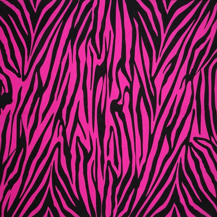 100% Katoen Zebra Strepen Punk Hip Hop Hoofddeksels Hoofddoek Bandana Foulard Halsdoek Vierkante Sjaal Voor Vrouwen/Mannen/Jongens/Meisjes: Fuchsia