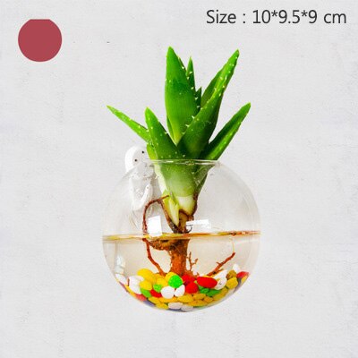 Europese glazen hydrocultuur wandbloemvaas, groene planten, wanddecoratie, aquarium, knutselen, scandinavische bloempot: 902- seconden
