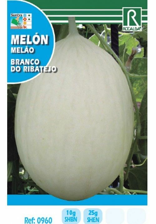 SEMILLAS PARA PLANTAR HORTALIZAS MELON BRANCO DO RIBATEJO