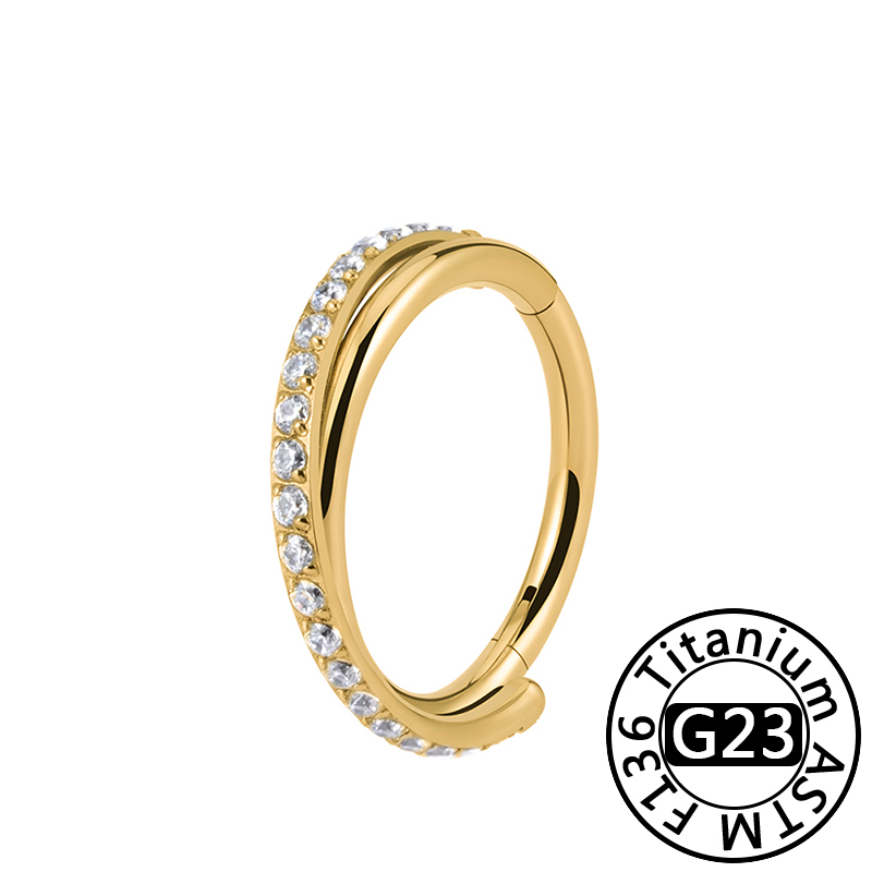 Astm F136 Titanium Neusring Piercing 16G Oorspiraal Hoepel Kraakbeen Oorbel Scharnier Diafragma Daith Clicker Ring Lichaam Sieraden: Black / Silver Plated