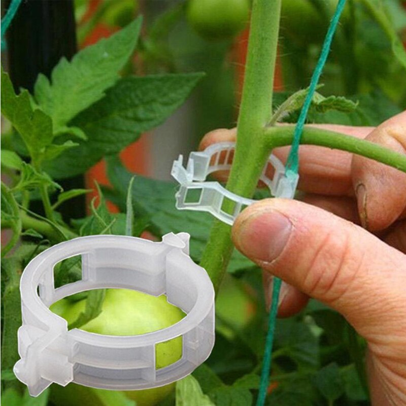 50/100 25mm herbruikbare klemmen, plastic plantensteunclips voor hangende planten, wijnranken, tuinkas, groenten, tomatenclips