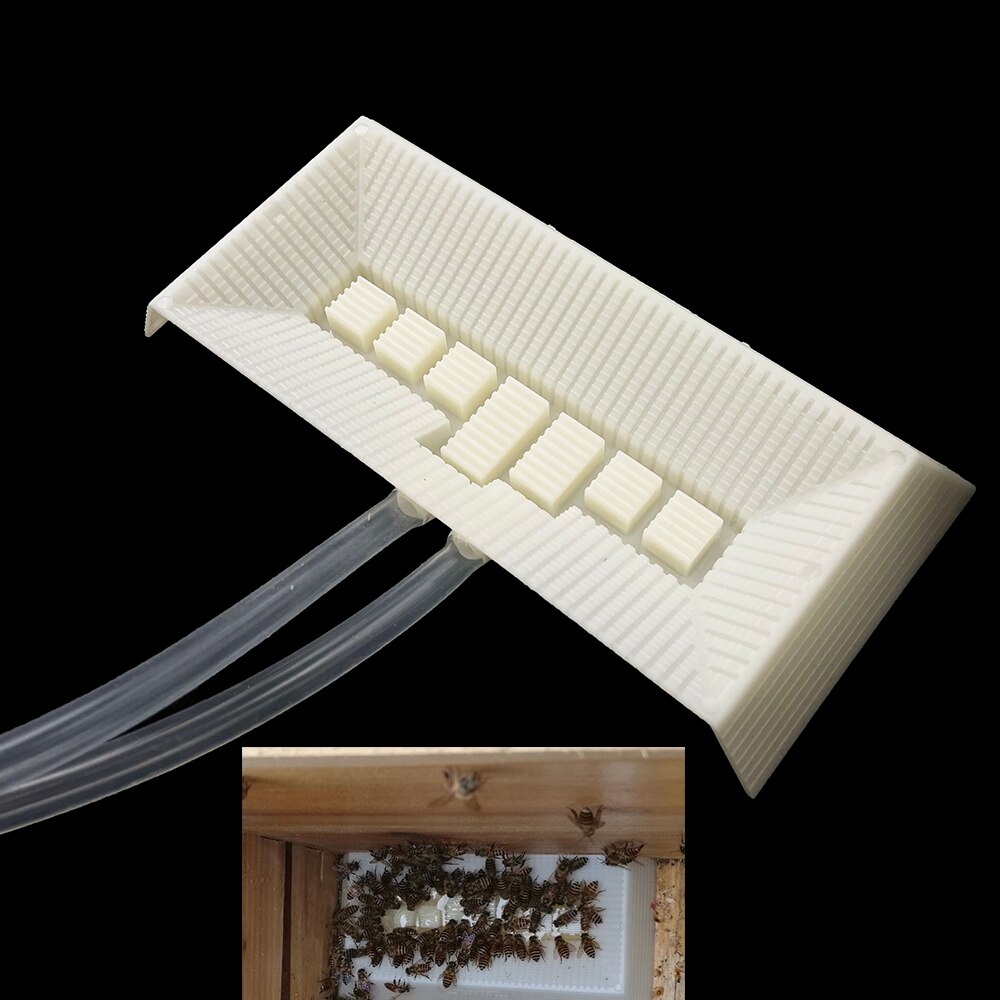 Alimentador de abejas reina, suministros de herramientas de apicultura antirrobo, riego de miel, alimentación sin Desembalaje de colmena,
