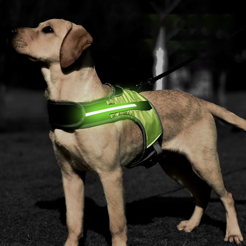 Pet Safety LED Harness Dog Luminous Light Harness LED Dog Harness Leash Rope Belt LED Dog Collar Vest Pet Supplies-