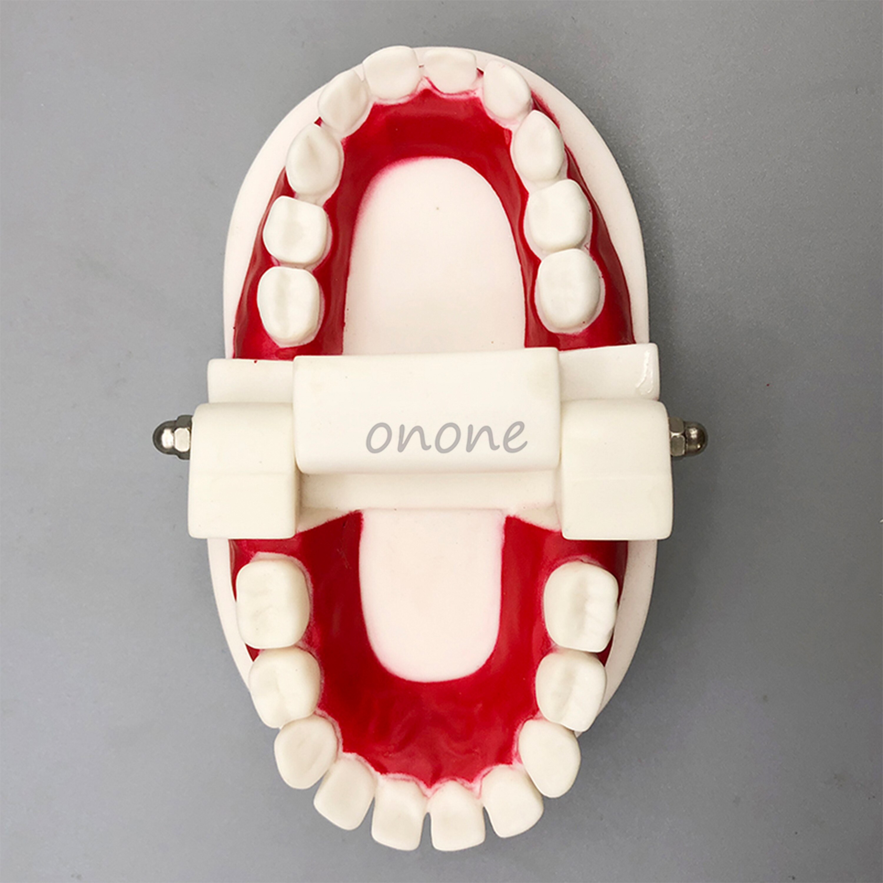 1pcs Good Children Teeth Model Teaching Tooth Model Dentist Student Learning Model