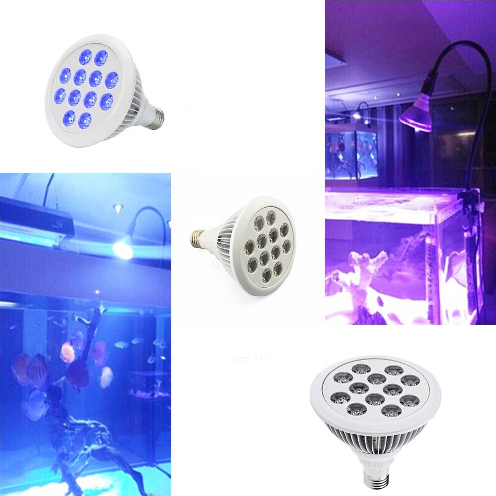 12W 24W E27 Marine Aquarium LED Lamp White Blue Lamp PAR30 Full Spectrum Reef Coral Fish Tank Aquarium