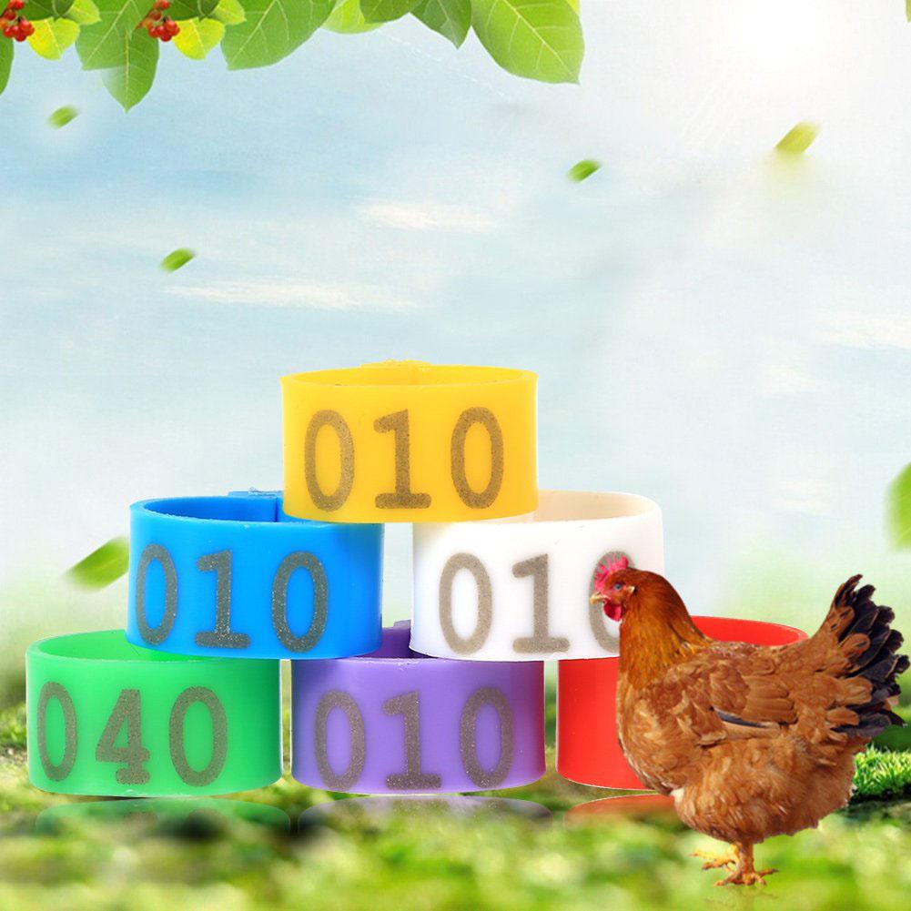 Adeeing 100 Pcs Open-ended Fuß Ringe für Huhn Ente... – Vicedeal