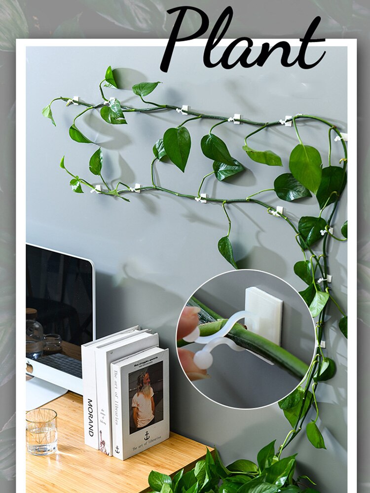 Plant Climbing Wall Clip Invisible Wall Vines Fixture Wall Sticky Hook Holder Plant Cages Plant Supports Clip Vine Clip