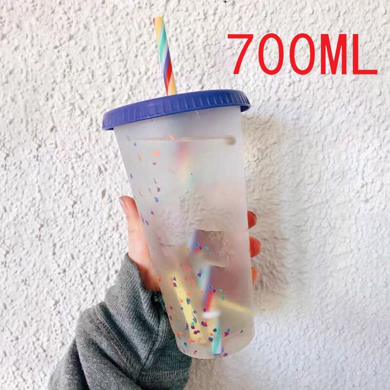 700ML PP Temperatur Magische Farbe Ändern Tassen Bunte Kalten Wasser Farbwechsel Kaffee Tasse Becher Wasser Flaschen Mit Strohhalme 5 stücke: 1pcs 700ML