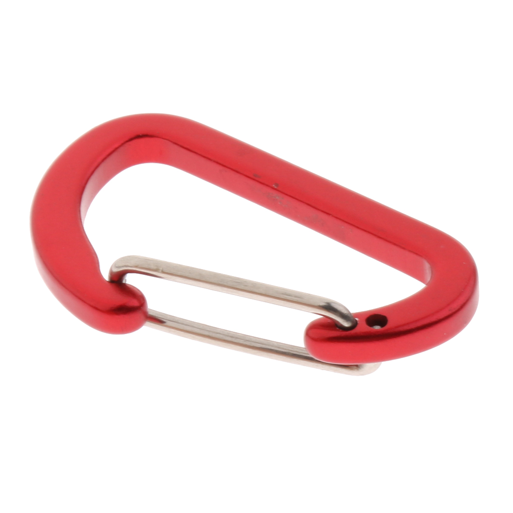 1pcs 4mm Mini Aluminum Alloy Carabiner Outdoor D Shape Quickdraw 1.57 x 0.96inch for Mountaineering Camping Hiking Travel: Frosted red