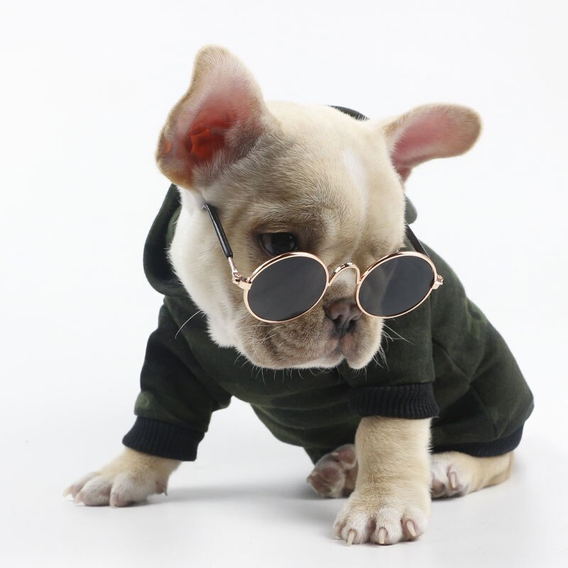 AlfPetpig occhiali per animali domestici divertenti per cani e gatti occhiali da sole foto oggetti di scena accessori per animali occhiali rotondi articoli per gatti