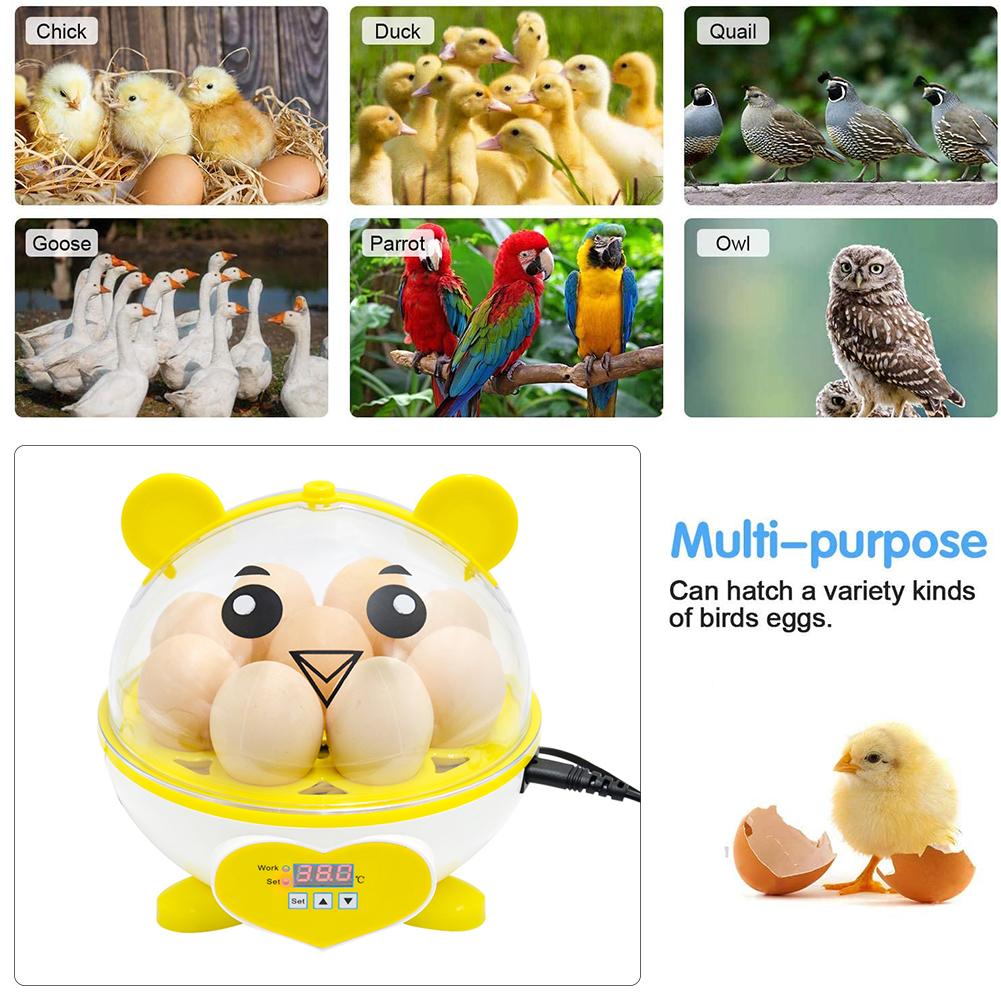 Broedmachine voor eieren, automatische uitkomstmachine met slimme temperatuurregeling, digitaal broedapparaat voor kippen, eenden en ganzen.