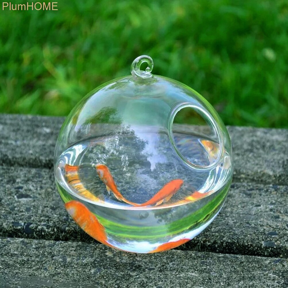 Aquarium en verre suspendu de forme ronde 12cm, bocal à poissons, Vase à fleurs, boule transparente, fait à la main✖12cm