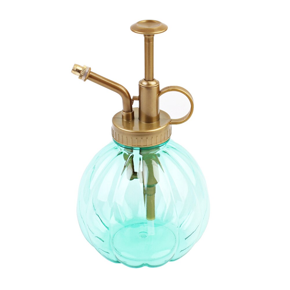Vintage spuitfles, drukspuitfles, tuinplant, bloem, waternevelfles, glazen gieter, decoratief voor thuis: Groente