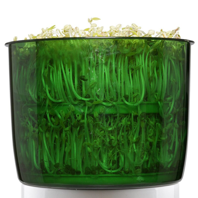 220V Green Seeds Automatic Bean Sprouter Growing Automatic Bean Sprout 2 Layers Intelligent Bean Sprouts Machine Household