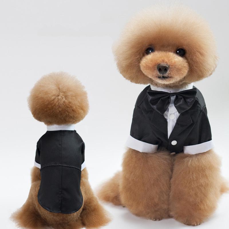 Stilfuldt kæledyrsdragt slips kæledyr formelt tøj gentleman svalehalet jakke mandlige jakkesæt kæledyr hund brudekjoler del: S