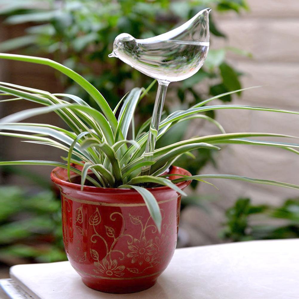 Sistema de autorriego automático para casa y jardín, alimentador de aves en forma de C, latas de riego transparentes