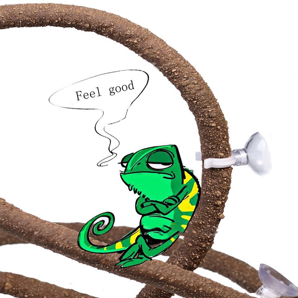 Simulation flexible de branche de vigne de jungle lézard tortue reptile rotin avec coupelles de soleil escalade habitat pour animaux de compagnie décor petit animal