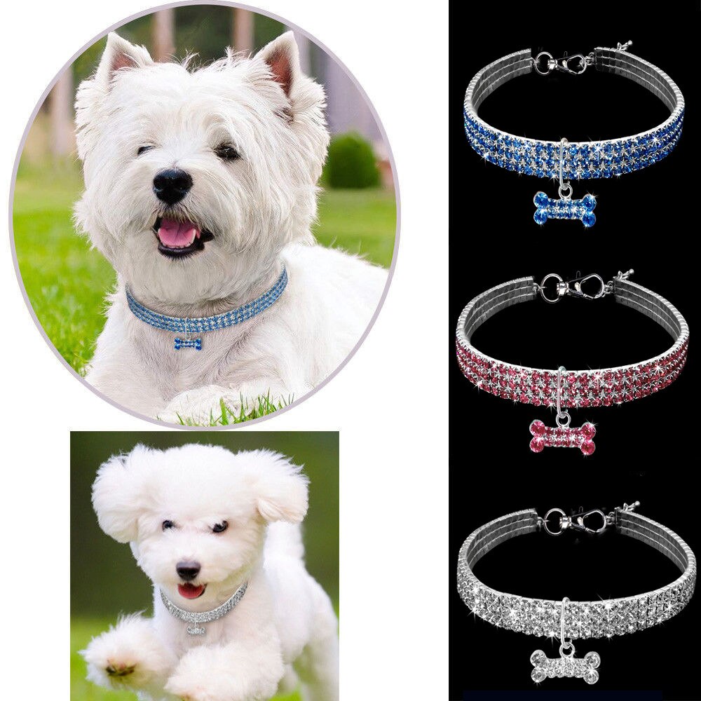 1 stk diamant kæledyr hundehalsbånd glitter skinnende justerbar ensfarvet rhinestone pet choker enkel hvalp