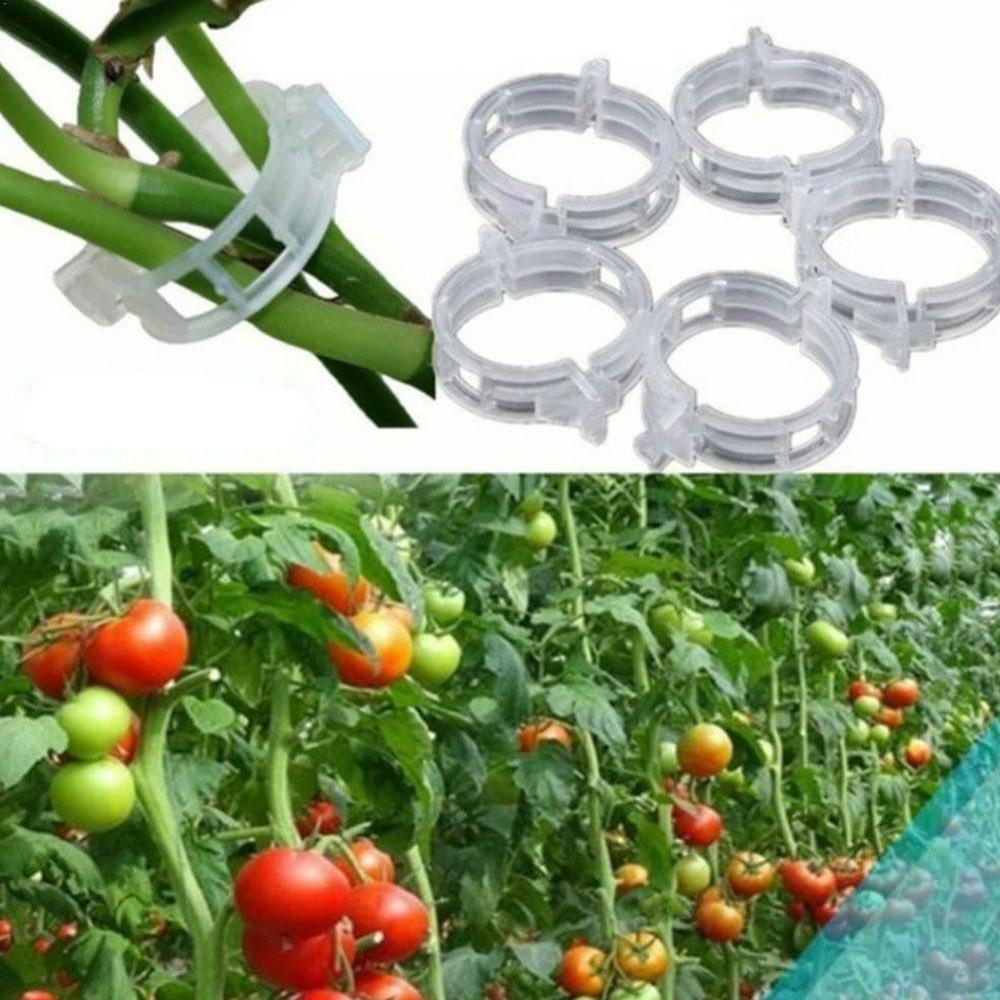 50 Stuks Plastic Wijnstok Clip Plant Clips Tomaat Opknoping Trellis Wijnstok Verbindt Planten Bescherming Voor Kousenband Planten Landbouw Gereedschap