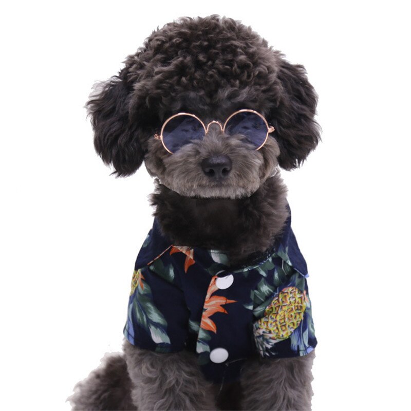 Pet suave Gato gafas de perro para mascotas de color al azar para perrito ojo de gato ropa de perro gafas de sol fotos de productos para mascotas