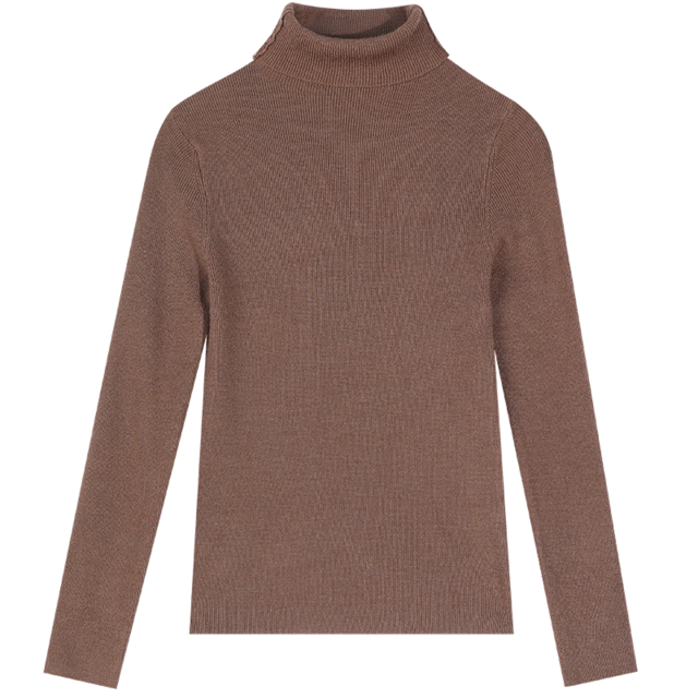ELFSACK Solid Pure Casual Knitted Pullover Women Slim Sweaters Autumn ELF Full Sleeve,Korean Female Basic Daily Tops: Dark Brown