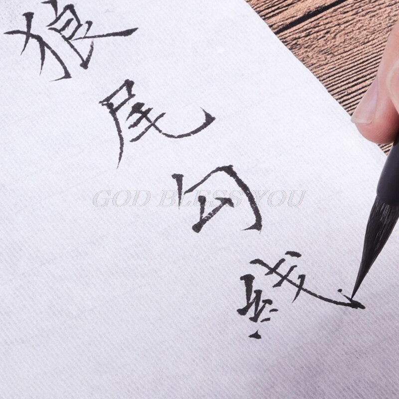 Stylo pinceau à encre pour aquarelle peinture dessin chinois blaireau cheveux Art artisanat directe