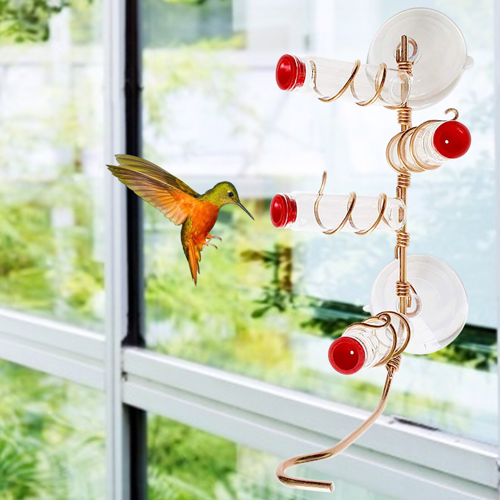 Innovative Suction-cup Hummingbird Feeder Parrot Lovebird Pigeon Hanging Viewing Feeding Tool Container Pet Supplies Accessories