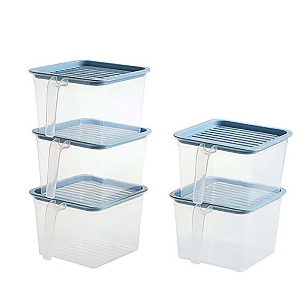 5 Stks/set Keuken Opslag Containers Plastic Voedsel Opslag Container Clear Rijst Doos Koelkast Organisator Thee Bean Grain Case: 5pcs Blue L