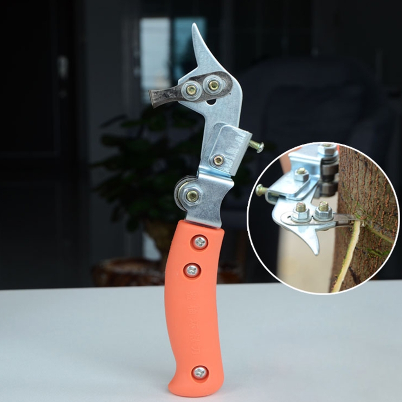 D55F – coupe-anneaux pour arbres fruitiers, 20.5cm, pour pommier, pamplemousse, Orange