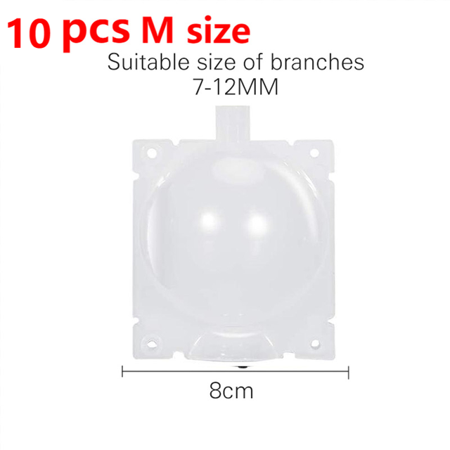 20pcs Reusable Plant Rooting Equipment Kit Cutting Grafting Rooting Box Tree Pressure Branch Rooting Propagator Breeding Ball: 10pcs M transparent