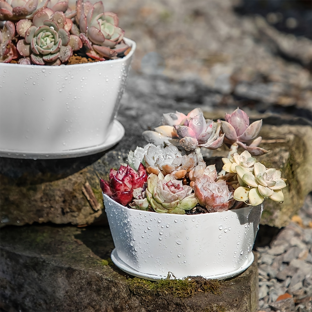 1PC succulent plant flowerpot large caliber flowerpot