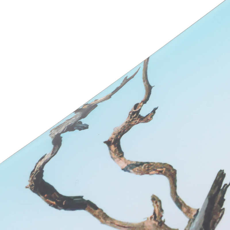 Aquarium Background Decor High Transparency Aquarium Poster for Aquarium